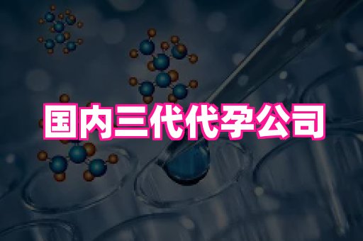 北京助孕网 2