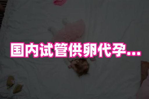 北京助孕网 3