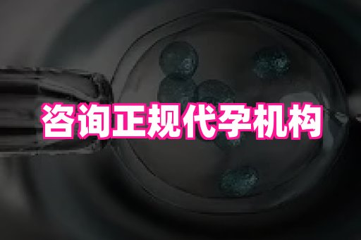 北京助孕网 4